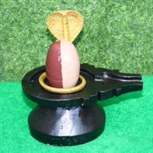 AARDHNARESHWAR SHIVLING FOR HOME POOJA
